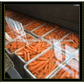 Organic Red Carrot